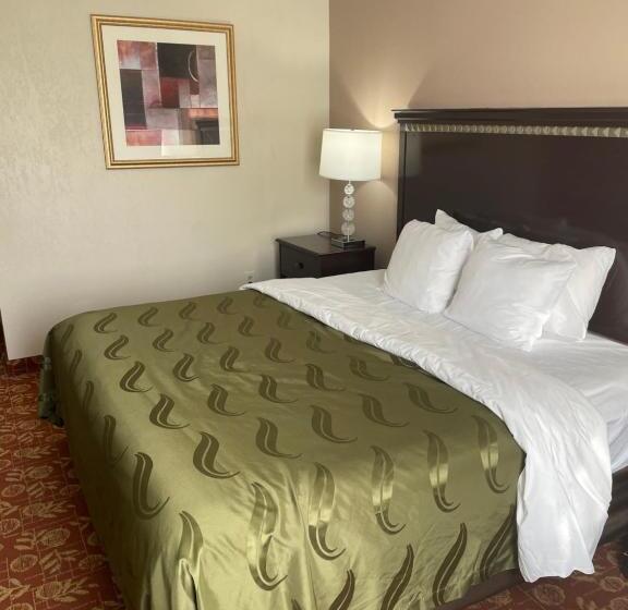 장애인을 위한 킹사이즈 침대 스탠다드 룸, Quality Inn Vineland