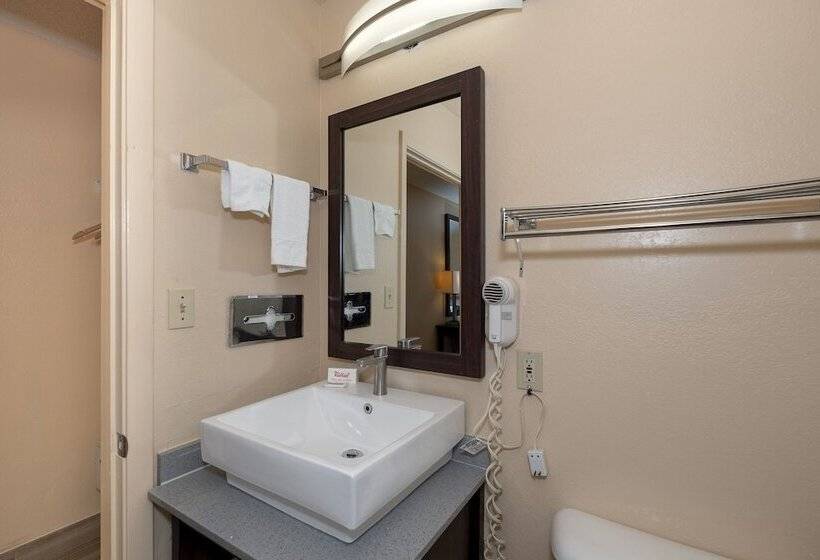 豪华房间, Red Roof Inn Valdosta  University