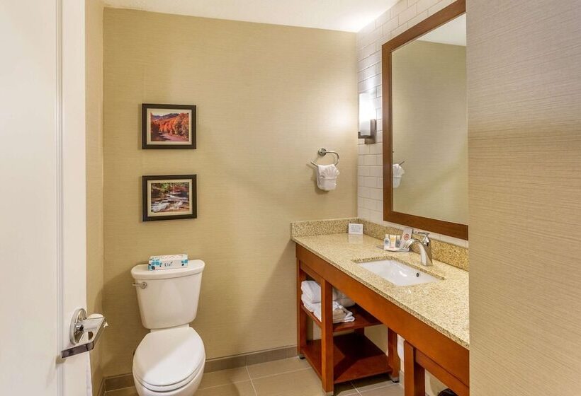 Номер Стандарт 2 Двуспальные Кровати, Comfort Inn & Suites Logan Near University