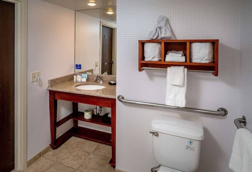 장애인을 위한 스탠다드 룸, Hampton Inn Charlestondowntown