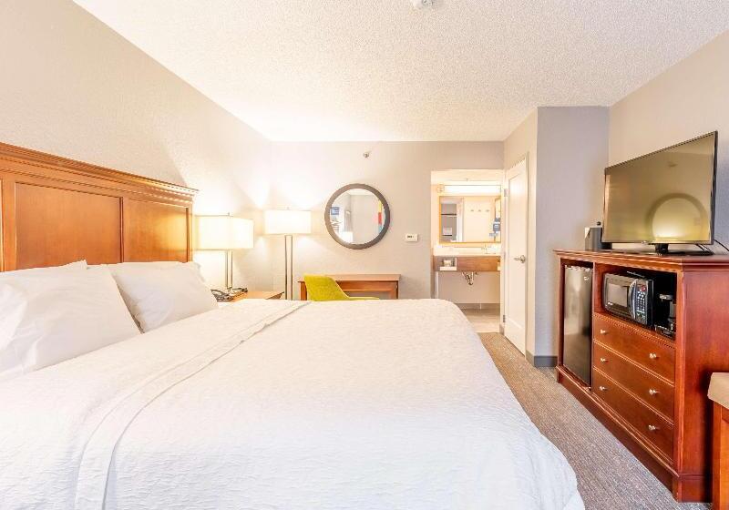 חדר סטנדרט עם מיטת קינג, Hampton Inn Gainesville
