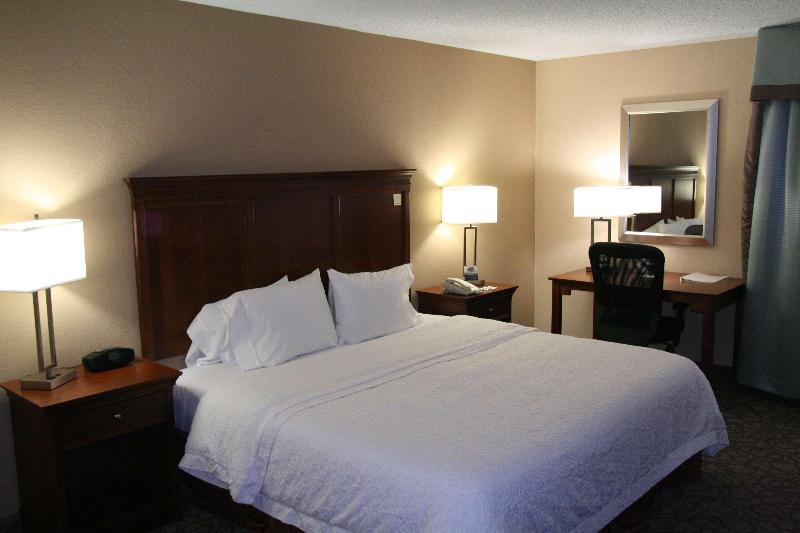 חדר סטנדרט עם מיטת קינג, Hampton Inn Gainesville