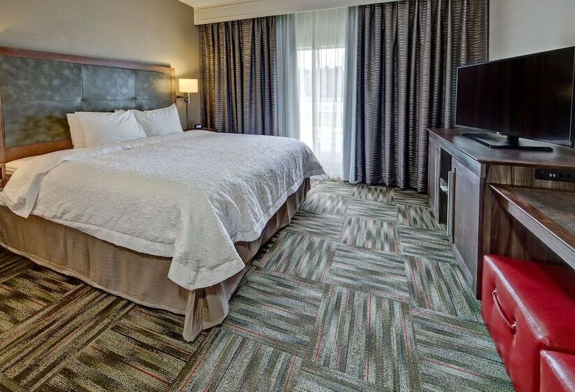 Люкс Адаптированный для Инвалидов, Hampton Inn Newberry Opera House