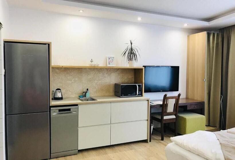 Студия Deluxe, Egria Apartments