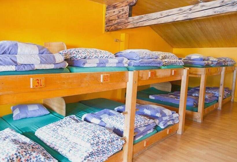 Кровать в Общей Комнате, Mountain Hostel Gimmelwald