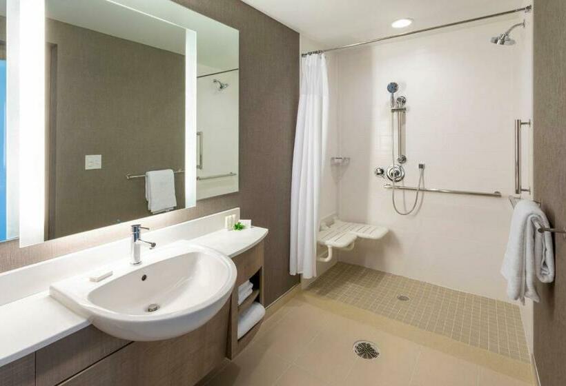 Люкс Кровать Кинг, Springhill Suites Minneapolis Maple Grove/arbor Lakes