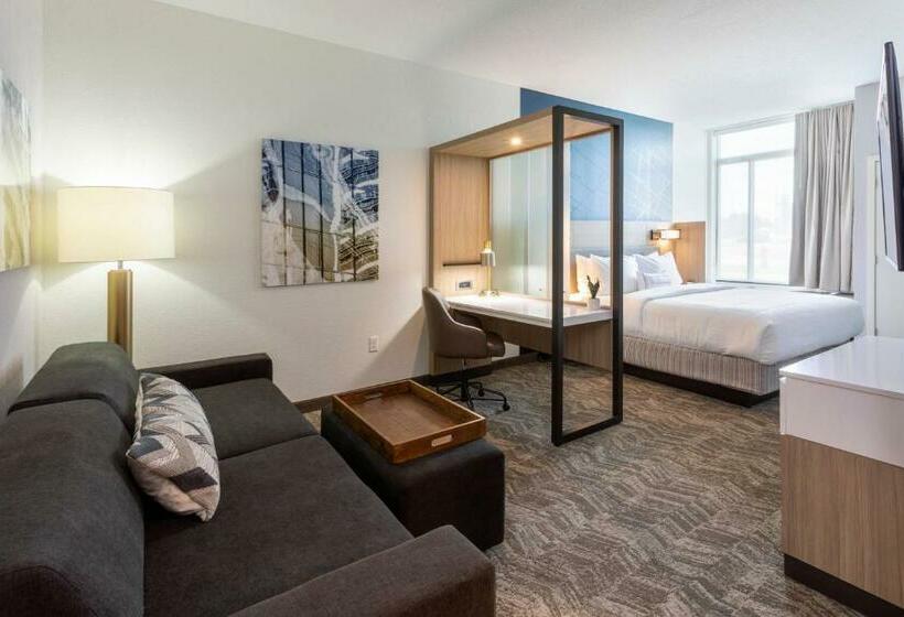 Люкс Кровать Кинг, Springhill Suites Minneapolis Maple Grove/arbor Lakes