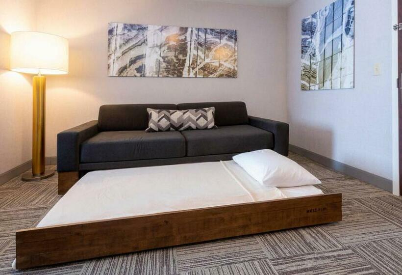 Люкс, Springhill Suites Minneapolis Maple Grove/arbor Lakes