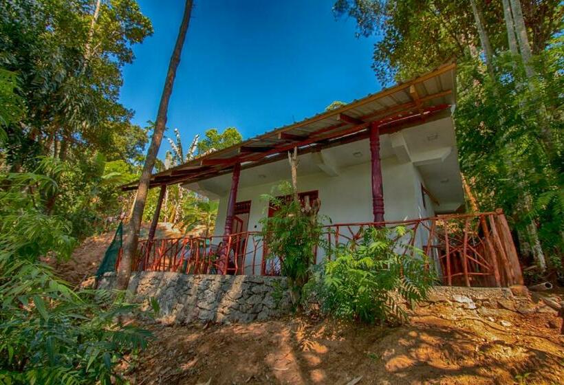 Трехместный Номер Базовый, Dulmini Homestay