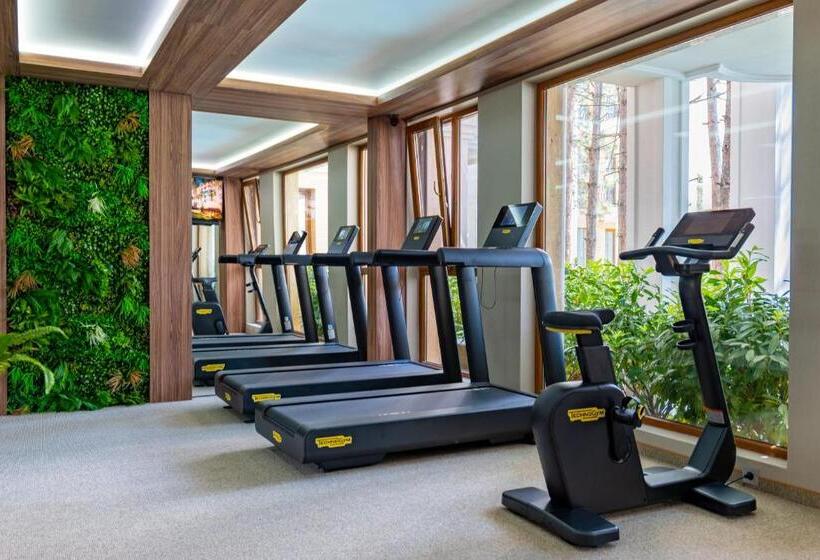 Апартаменты Deluxe 1 Спальня, Harmony Suites Grand Resort