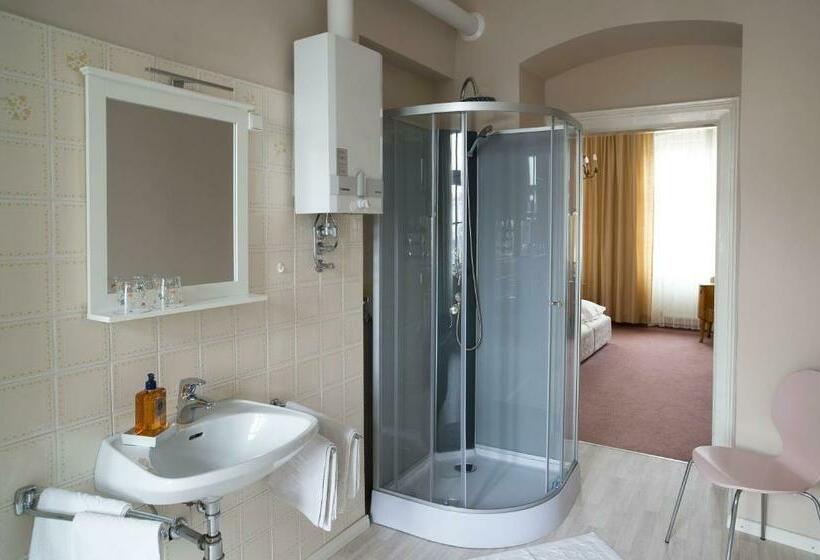 اتاق استاندارد با سرویس بهداشتی مشترک, Fink Low Budget Rooms