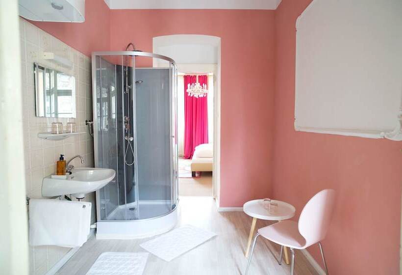 اتاق استاندارد با سرویس بهداشتی مشترک, Fink Low Budget Rooms