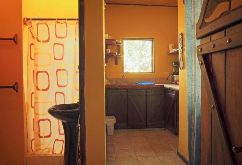 Апартаменты 1 Спальня, Casas Mal Pais