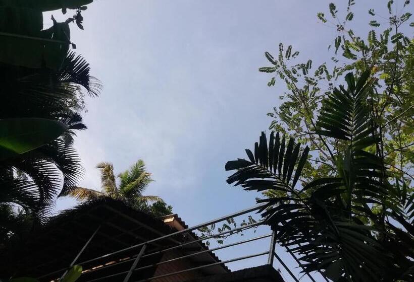 اتاق استاندارد, Jungle Guest ,mirissa