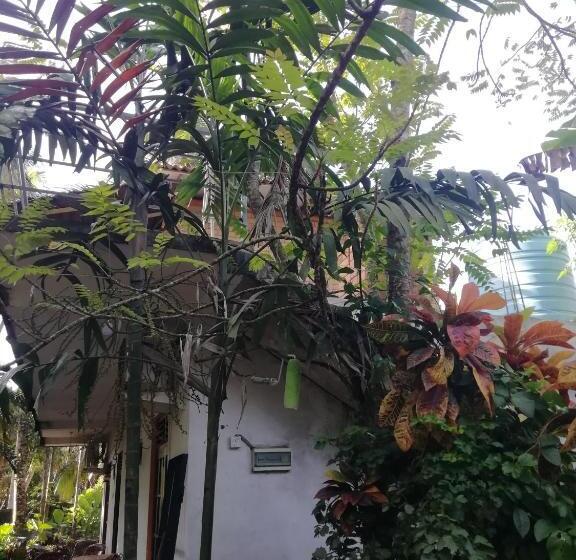 اتاق لوکس خانوادگی, Jungle Guest ,mirissa