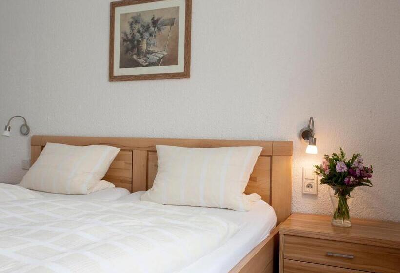 آپارتمان 1 خوابه, Pension Haus Brieden