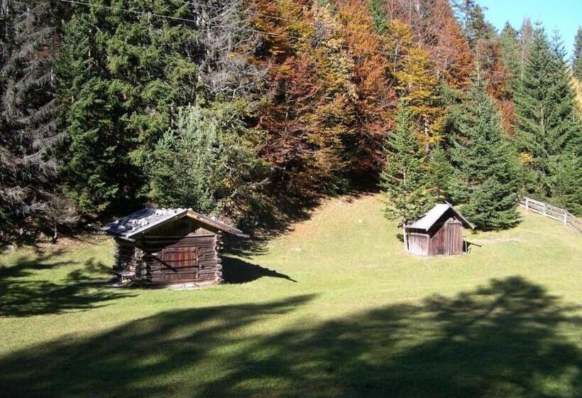 Номер Стандарт с Балконом, Pension Holzmann