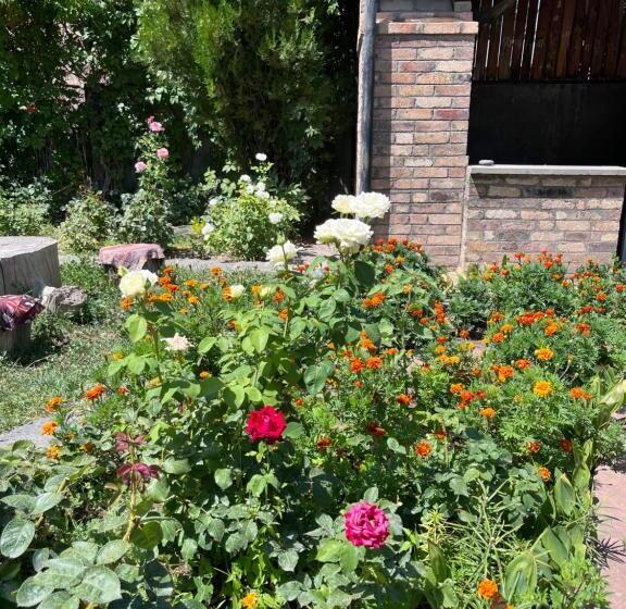 اتاق استاندارد, Apricot Tree B&b