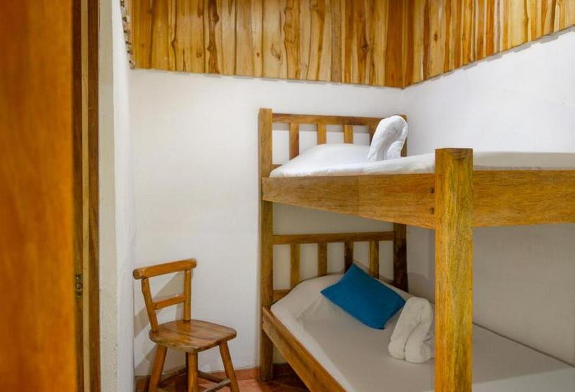 Номер Стандарт, La Dolce Vita   On The Beach   Samara