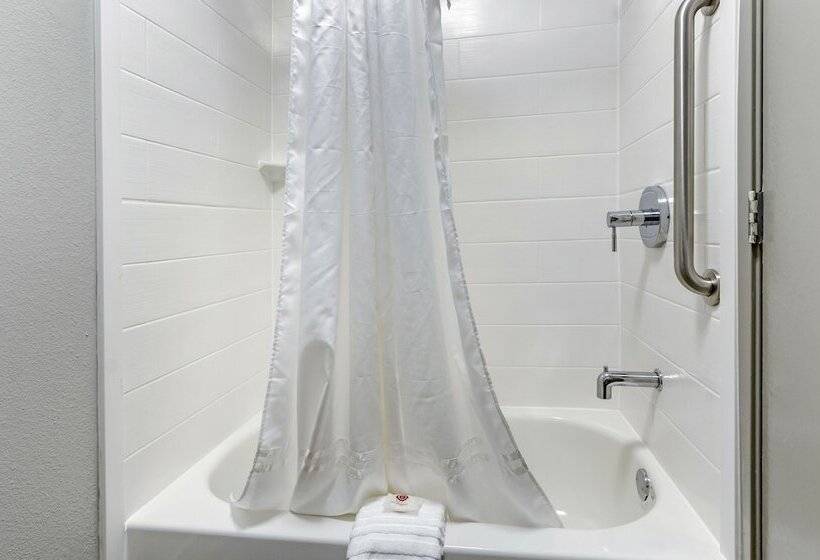 Номер Стандарт 2 Двуспальные Кровати, Comfort Inn & Suites Troutville   Roanoke North   Daleville