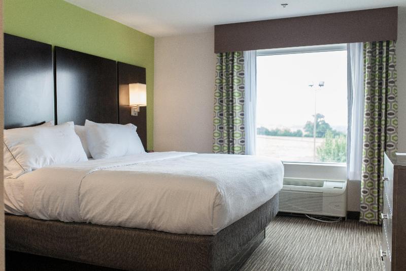 스탠다드 룸 킹사이즈 침대, Holiday Inn Express & Suites Sweetwater, An Ihg