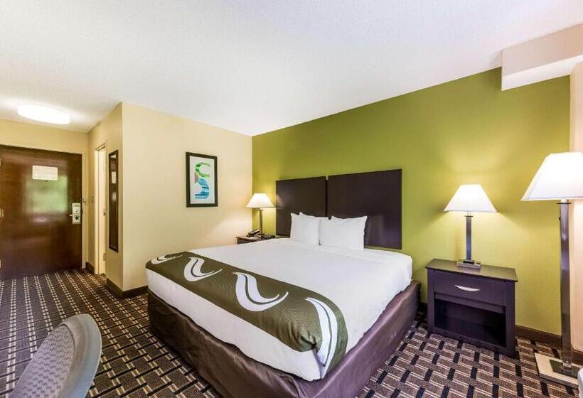 Номер Стандарт Кровать Кинг Адаптированный для Инвалидов, Quality Inn Huntersville Near Lake Norman