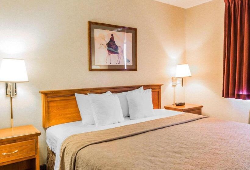 Номер Стандарт Адаптированный для Инвалидов, Quality Inn & Suites Montrose  Black Canyon Area