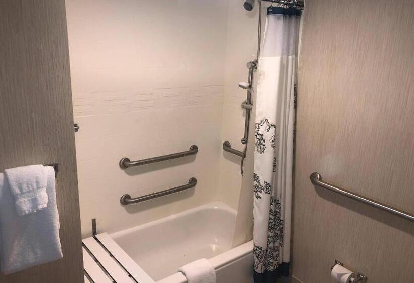 Студия Стандарт, Residence Inn By Marriott Grand Rapids West