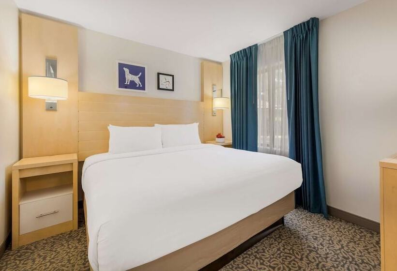 身障者適用スタンダードルーム, Sonesta Es Suites Charlotte Arrowood