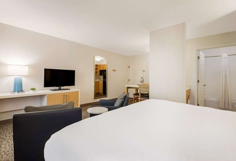 ダブルベッドのスタンダードスタジオ, Sonesta Es Suites Charlotte Arrowood