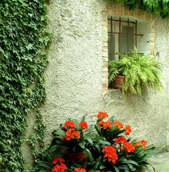 Номер Стандарт, B&b Gil D'o