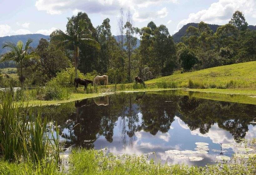 Хижина, Nimbin Waterfall Retreat