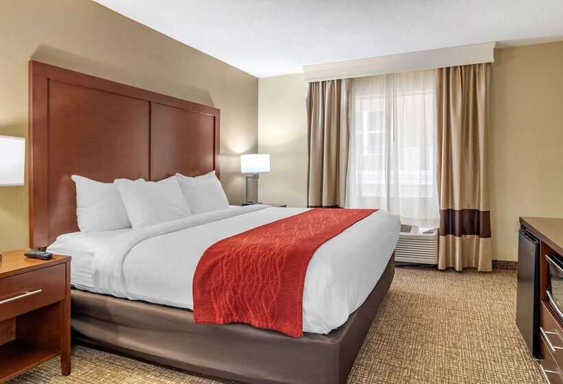סוויטה, Comfort Inn & Suites Macon North I75