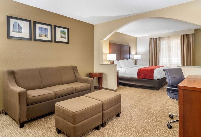 סוויטה, Comfort Inn & Suites Macon North I75
