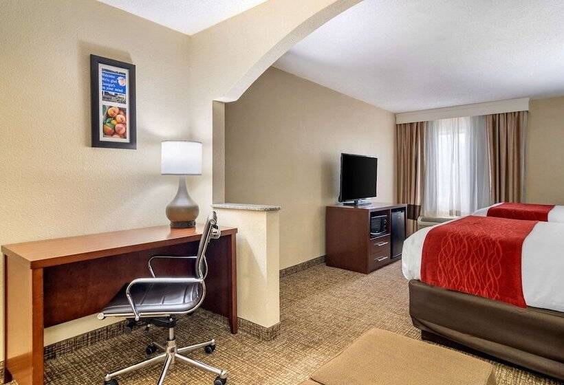 סוויטה, Comfort Inn & Suites Macon North I75