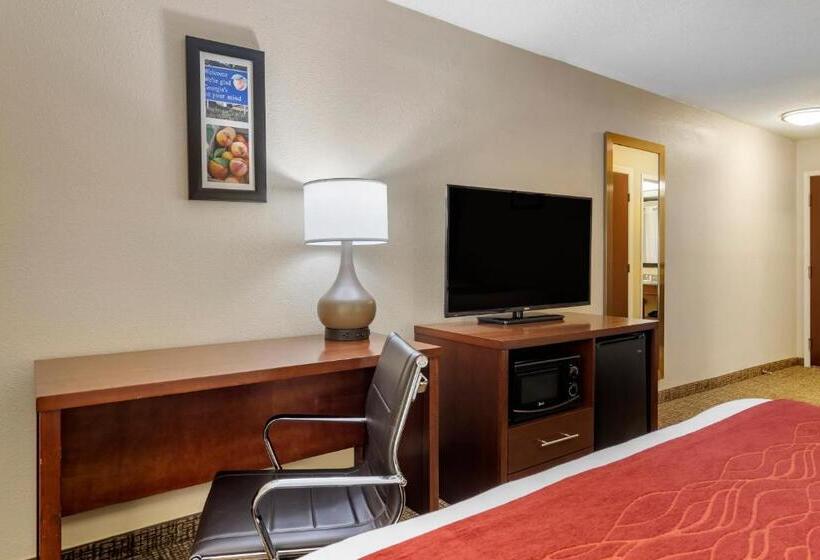 חדר סטנדרט עם מיטת קינג, Comfort Inn & Suites Macon North I75