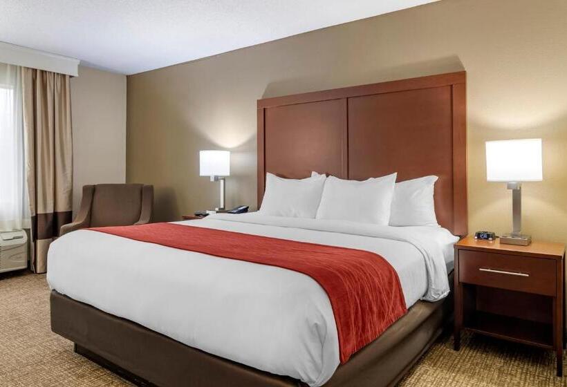 חדר סטנדרט עם מיטת קינג, Comfort Inn & Suites Macon North I75