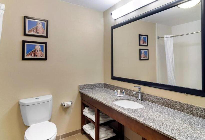 סוויטה, Comfort Inn & Suites Macon North I75