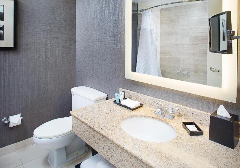 スタンダードルーム, Crowne Plaza Annapolis, An Ihg