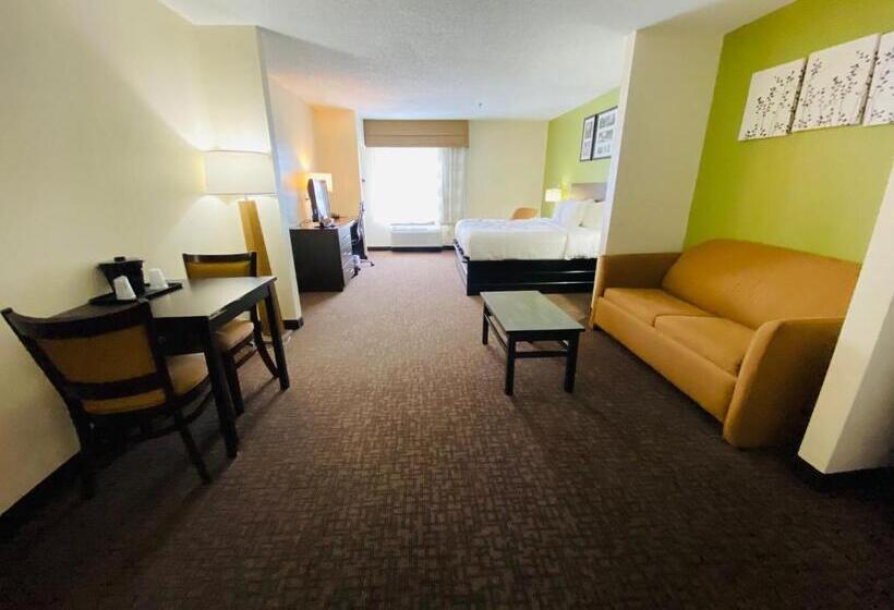 Люкс Кровать Кинг, Sleep Inn & Suites Jacksonville Near Camp Lejeune
