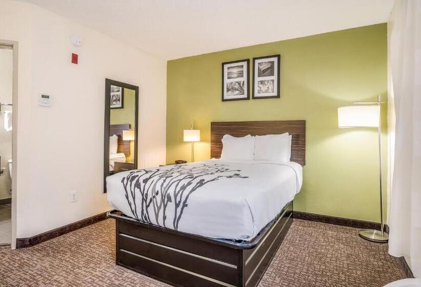 Номер Стандарт, Sleep Inn & Suites Jacksonville Near Camp Lejeune