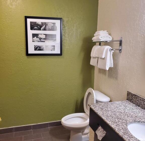 Люкс с гидромассажем, Sleep Inn & Suites Jacksonville Near Camp Lejeune