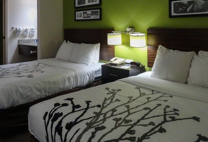 Quarto Estandar 2 Camas Casal, Sleep Inn & Suites Columbus Near State University   Fort Moore Area