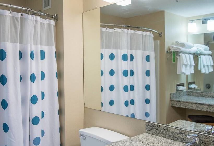 스위트, Towneplace Suites By Marriott Lafayette