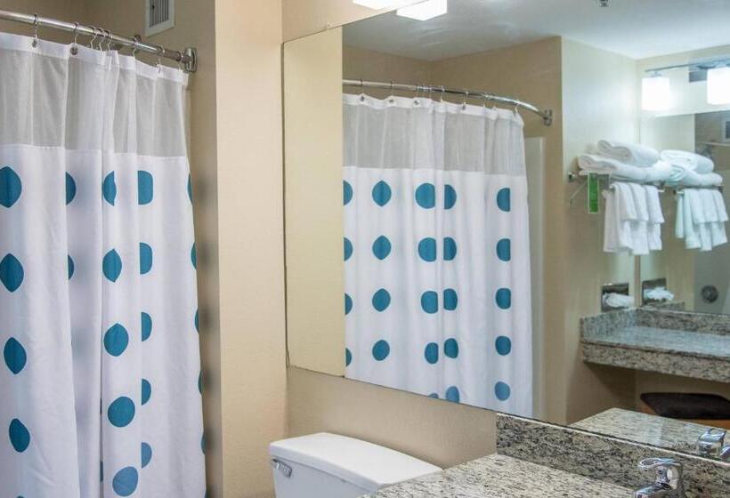 스탠다드 스튜디오, Towneplace Suites By Marriott Lafayette