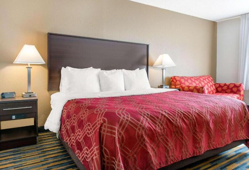 스탠다드 룸 킹사이즈 침대, Quality Inn Noblesvilleindianapolis
