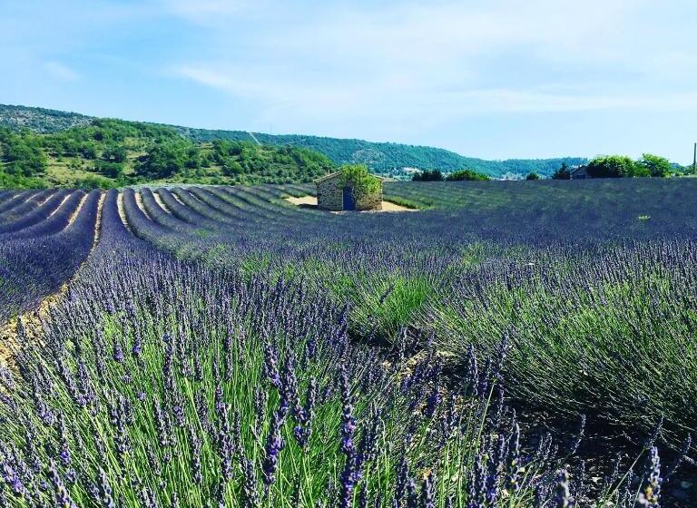 침실 2개 스위트, Le Moulin De La Viorne, Gîte Modulable Avec Piscine En Haute Provence