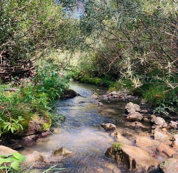 침실 2개 스위트, Le Moulin De La Viorne, Gîte Modulable Avec Piscine En Haute Provence