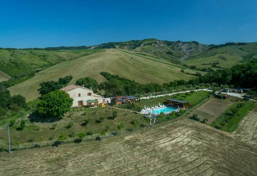 Номер Стандарт, Ca  Maggio