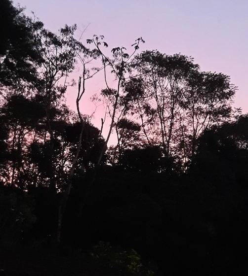 샬레, Suítes Casinha Do Alto Da Bocaina